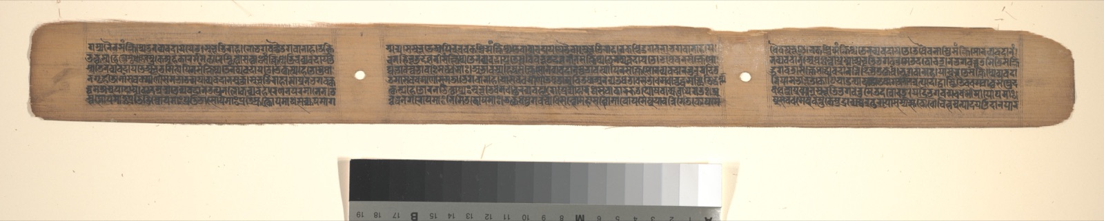 Prajnaparamita manuscript folio with columns of script, binding holes and a colour reference below